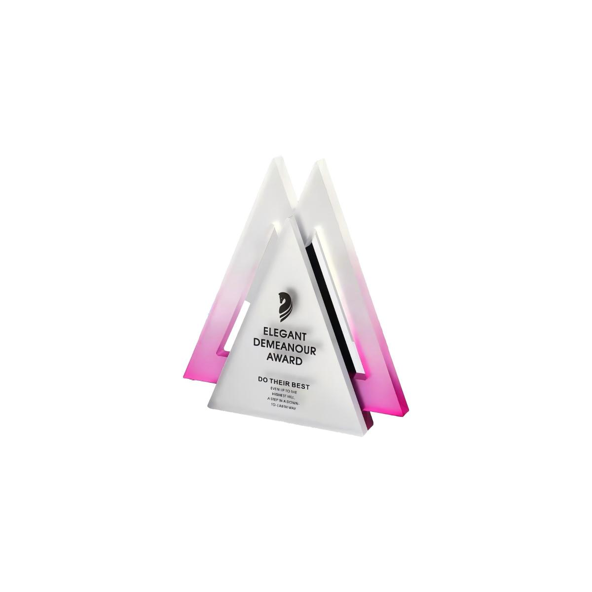 Custom-Shaped Acrylic Trophy